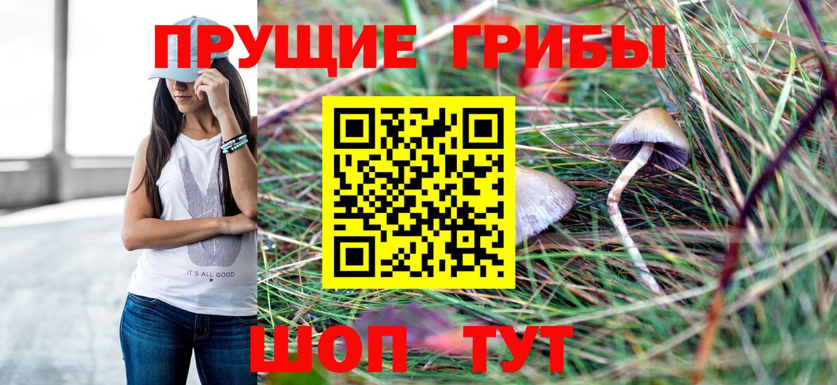 Чита  Галлюциногенные грибы Magic Shrooms  Вход с VPN 